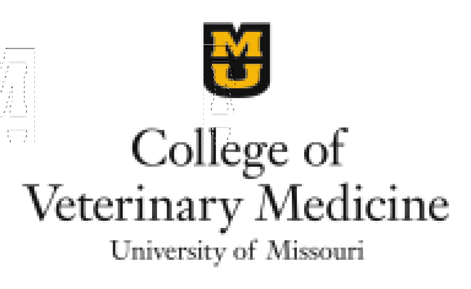 WHERE CAN I FIND DIRECT LINKS TO VETERINARY SCHOOL WEBSITES? Vet